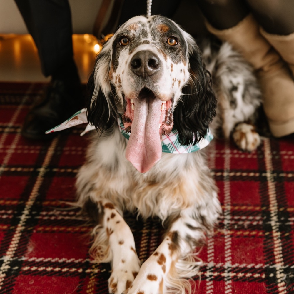 Meet your Posher, Angela